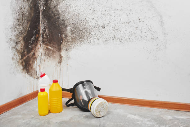 Best Crawl Space Mold Removal  in Merced, CA