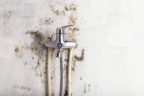 Best Office Mold Removal Services  in Merced, CA