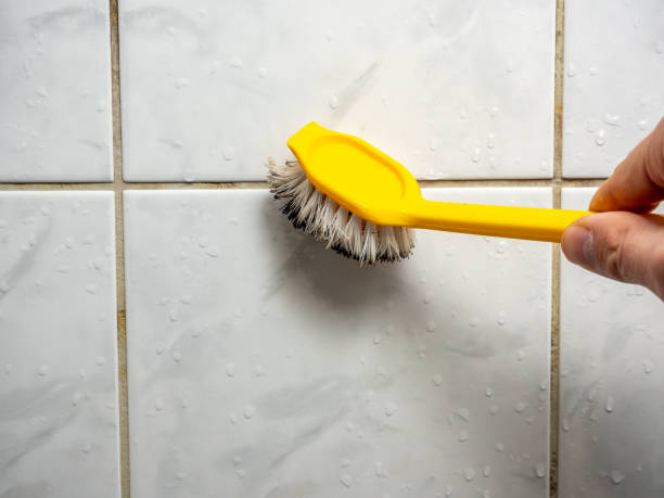 Best Mold Remediation Services  in Merced, CA