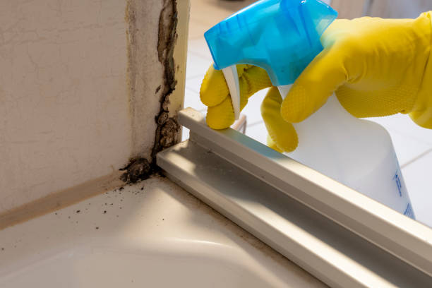 Best Mold Testing  in Merced, CA