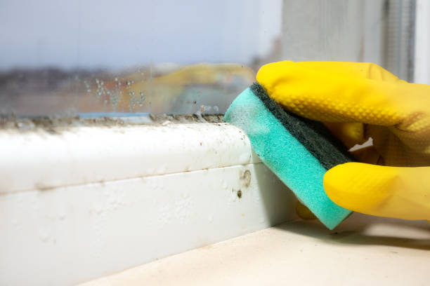 Best Office Mold Removal Services  in Merced, CA