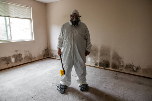 Best Mold Cleaning Services  in Merced, CA